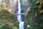 394-multnomah-falls-1200x800-1 - www.nankanasahibtour.com