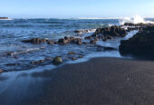 punaluu-black-sand-beach - www.nankanasahibtour.com