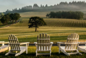 wineries - www.nankanasahibtour.com