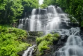 Amicalola-Falls-State-Park - www.nankanasahibtour.com