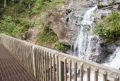 amicalola-falls-lower-loop - www.nankanasahibtour.com
