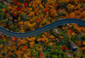 blue-ridge-parkway - www.nankanasahibtour.com